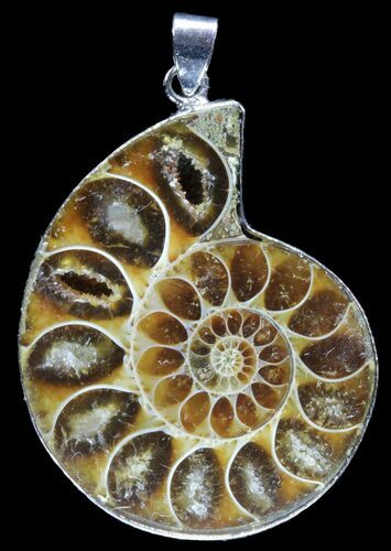 Fossil Ammonite Pendant - Million Years Old #89809